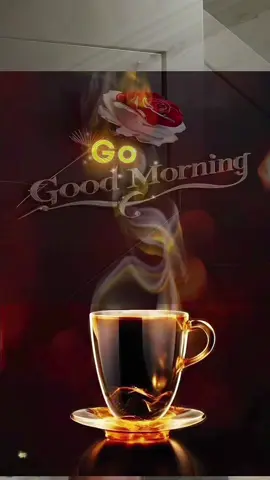 Good Morning #goodmorning #chaongaymoi 