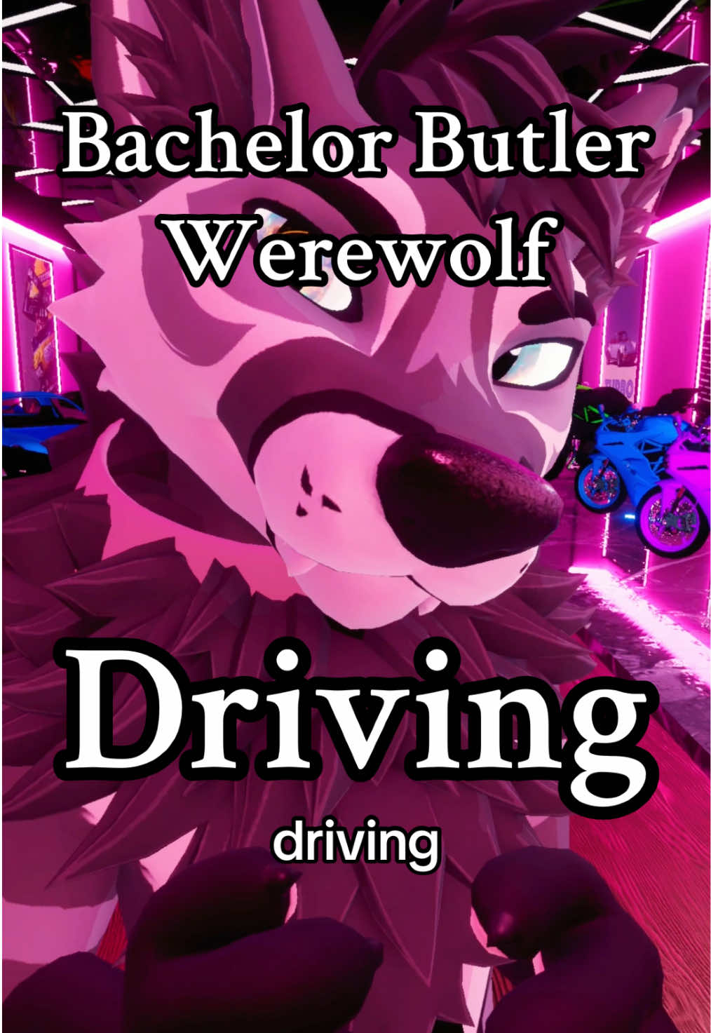 [REUPLOAD] you know why.. 😉 | sometimes the best meals are enjoyed 70 mph~  🐺🚗🥴 | #bbw #furry #freakhound #aortae #werewolf 