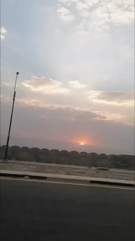 تبقى الدنيا غابة ما لم يُحترم بها الإنسان 💔 #الوائلي #الوائلي_روح_المنبر_الحسيني #الدنيا_غابة 