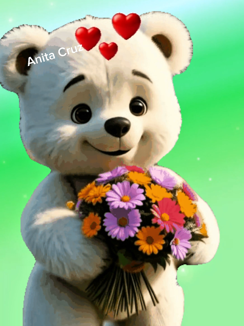 YouTube Anitacruz2 