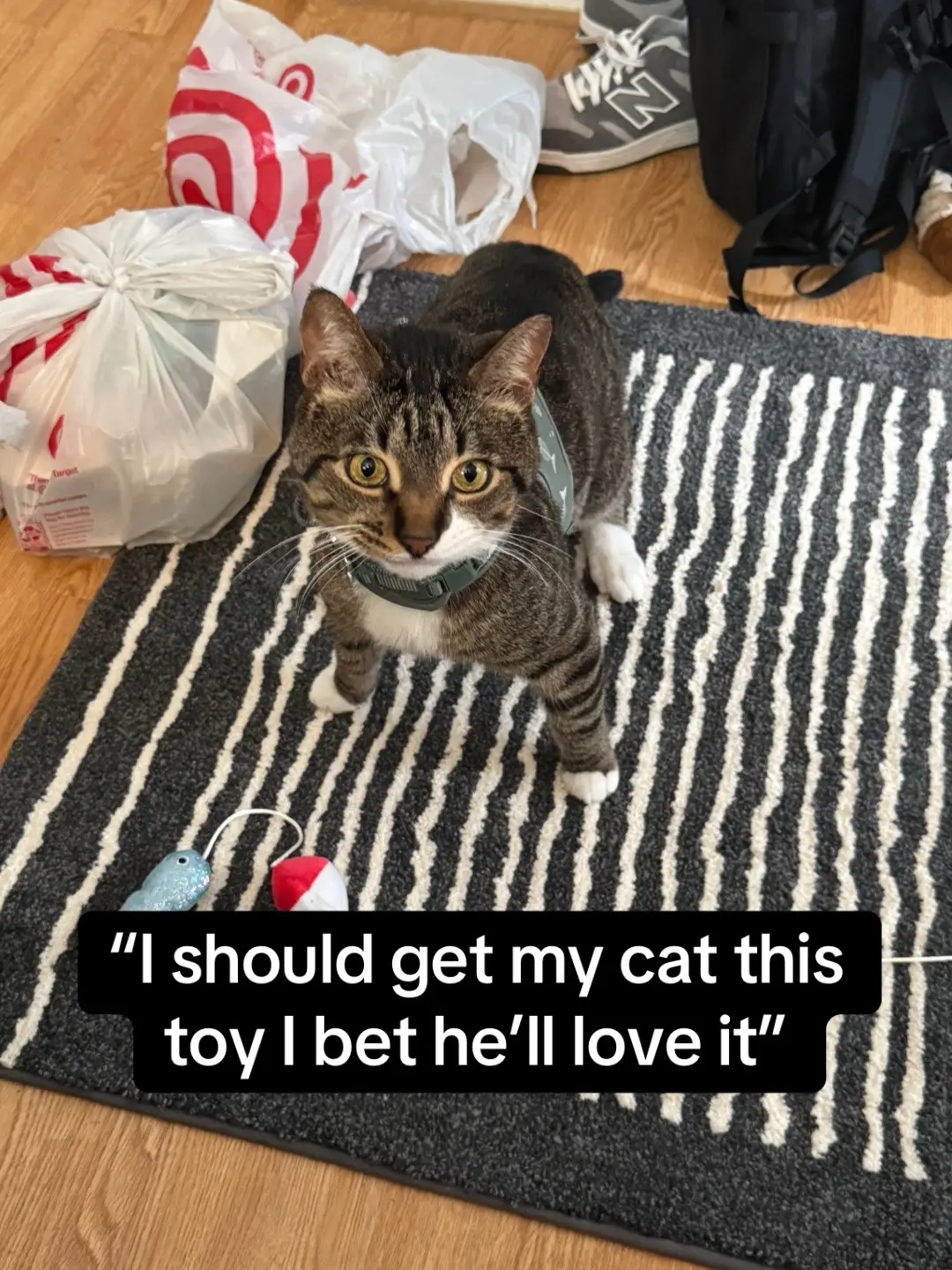 this toy along with many of their others are made from plastic that was soft and easy for my cat Mordred to chew off when I was not home. Mordred’s surgery was thousands of dollars which many people are not able to afford that for their pet so just dont buy this toy. Maybe it was my fault for leaving a cat toy in a place where a cat can play with it and not supervise him while he does, but I do expect rubber cat toys to not break off from him chewing on it, and be able to get stuck in his intestines. Also Mordred is healthy now, this happend in January. #playology #cattoys #cat #veterinarian #unsafe 