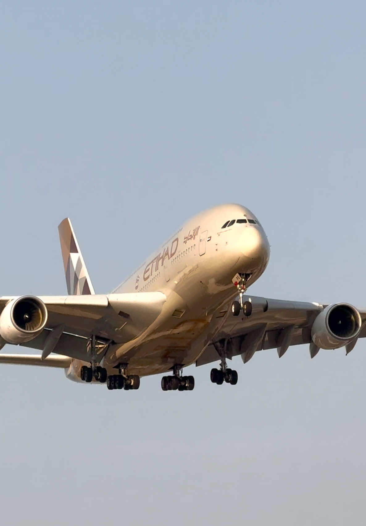 First time catching Etihad 380 at 05 | Etihad Airways Airbus A380-861 | Reg: A6-APG On Final Approach Runway 05 #fyp #etihadairways #airbusa380_861 #beautiful #sunrise @Raunak Spots @YYZ-Spots🇨🇦 @marcospotsplanes_ @yqq_photography @Boeing 777-F @D-ABTK @Dailydoseofaviation3 @Cain.aviation @jayden_ Aviation @AVIATION_YYZ_SPOTTER @(A6-EEQ) ✈ @✈️Aviation_YYZ✈️ @AC_YYZ🛩️ @AIRLINE AVIATION @Amin @amir @AndrewAvi✈️ @Angus @costadineth @cytrspotter @𝒟 ᥫ᭡ @FLYYZ Aviation -Iraqī at soul @general_carspots @Marco D. Ceballos @nigel._.spots @plane spotter yyz @Raunak @THESPOTTER @yul.spots @ZN 📸 