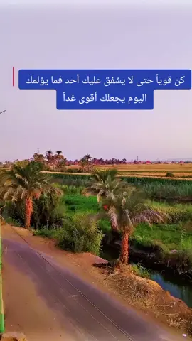 #الحمدالله_علی_کل_حال❤ #الستر_اجمل_شيئ #الصحه #راحة_البال_وهدوء_النفس🥀🖤 