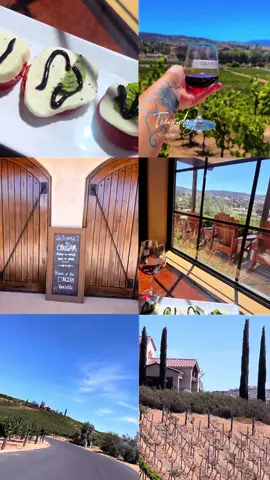 Day drinking .. who  was on my live ? Come say hi🍷🍷🍷#fypシ゚viral #trending?sound🔥fyp📣foryou #fyfyfyfyfyfyfyfyfyfyfyfyfyfyfyfyfyfy #wineries #tellmesomethingood 