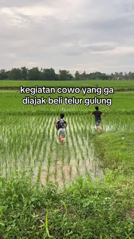 mending maen di sawah #4u #fyp #lewatberanda #zyxcba 