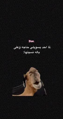 #اكسبلورexplore #اكسبلور #fypシ #لايكات #4upage 