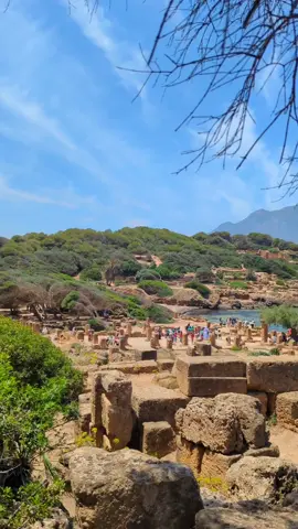 تيبازة🇩🇿 حيث يلتقي التاريخ بالبحر 🏛️🌊