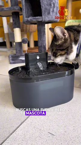 Fuente inalámbrica para mascotas 🐶🐱 Visítanos en nuestra sucursal 📍Vía Brasil, Calle 1ra el Carmen, detrás de distribuidora único de la vía España, cerca del Price Smart de vía España🐶🐱 ⏰Lunes a Domingo de 9:00am - 8:00pm 📲WhatsApp +507 6339-9832 Puedes relizar tu compra a nuestro WhatsApp 📲 o directo en nuestra página web Idogicat.shop ¡Te esperamos! 🐶🐱 #panama🇵🇦 #pty🇵🇦 #perros #gatos #videoviral 