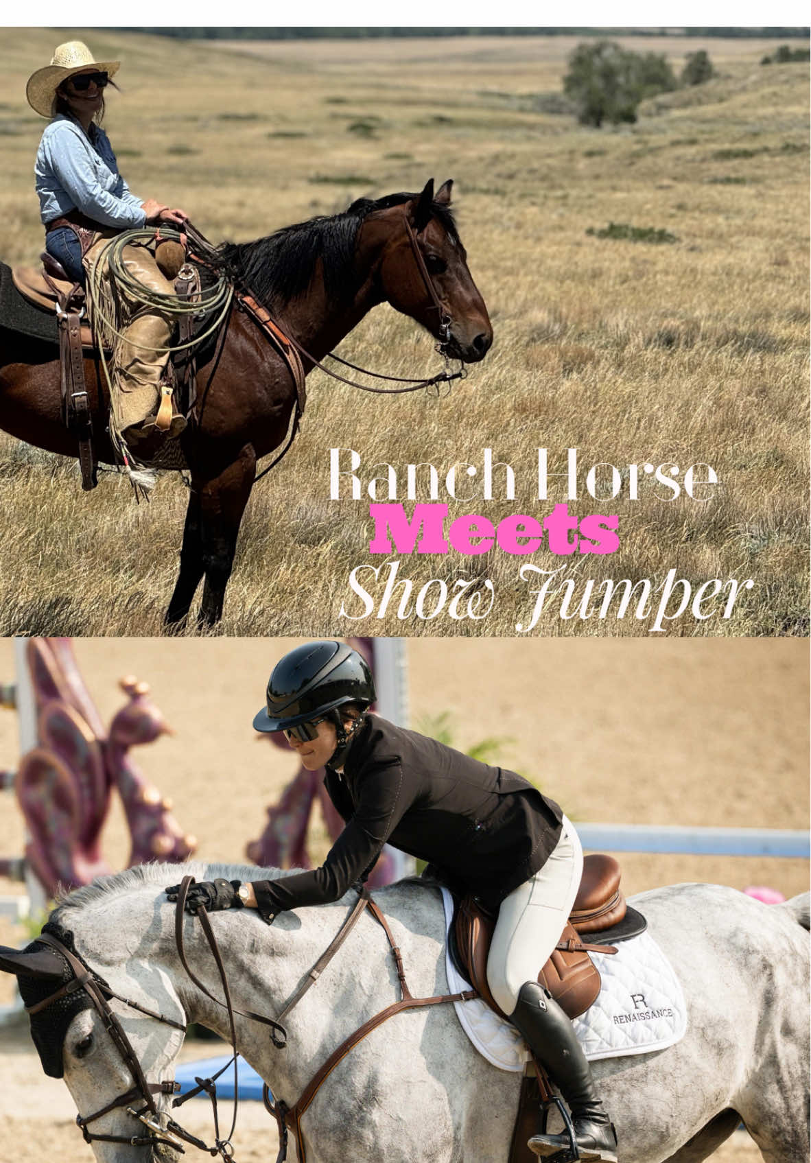 Part 3 with @Gabriela Reutter!  What happens when a ranch horse meets a show jumper…? ##horses##horsehumor##horsesoftiktok##horselife