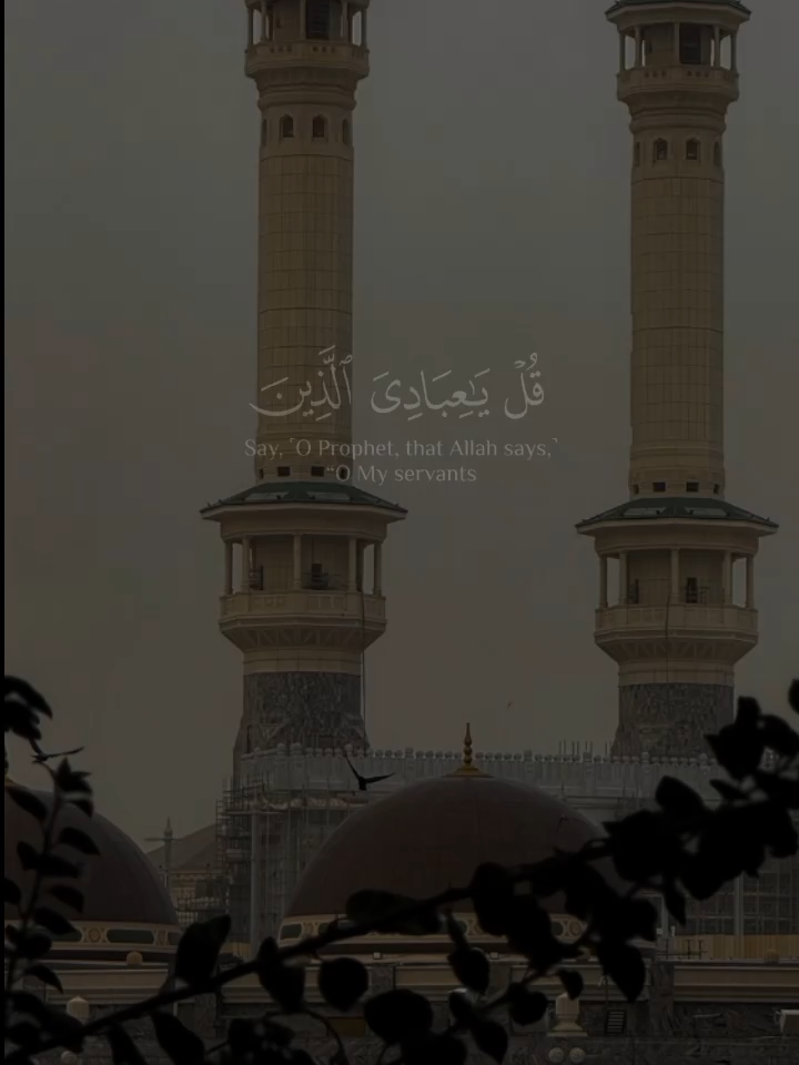 #القران_الكريم #hajjmubarak #islamic_video  #quran #islamicreminder #islamic_video