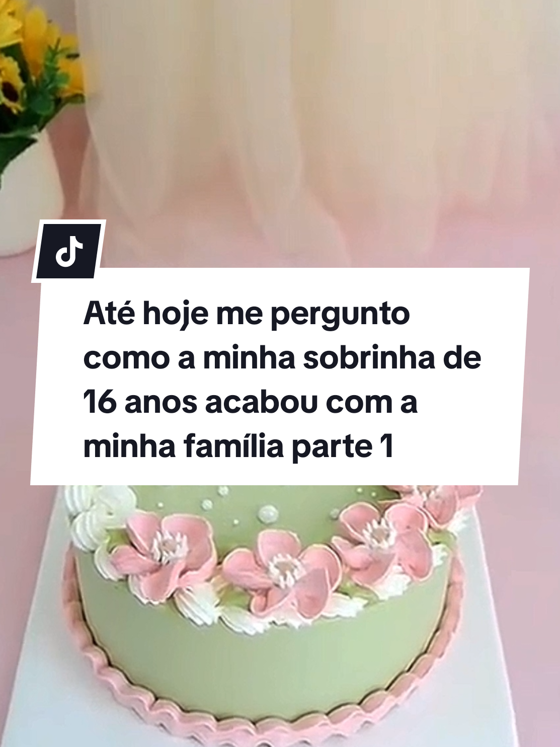 Até hoje me pergunto como a minha sobrinha de 16 anos acabou com a minha família parte 1 #historiasdeseguidores #fyp #fofocando #cake #historiasdetiktok 