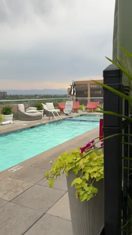 A great birthday weekend @Halcyon hotel in Cherry Creek  #hosted #denvercreator 