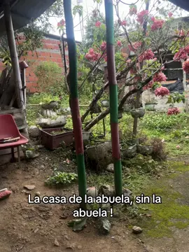 Mi viejita 👵🏻#viraltiktok #abuelita 