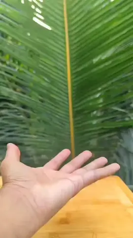 #লাইক_view_আসেনা_সবাই_সাপোর্ট_করো🙏🙏🙏 