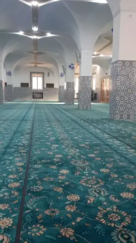 #السعودية_الكويت_مصر_العراق_لبنان_سوريا_الجزائر  #اهل_السنه_والجماعه  #الدعوة_السلفية 