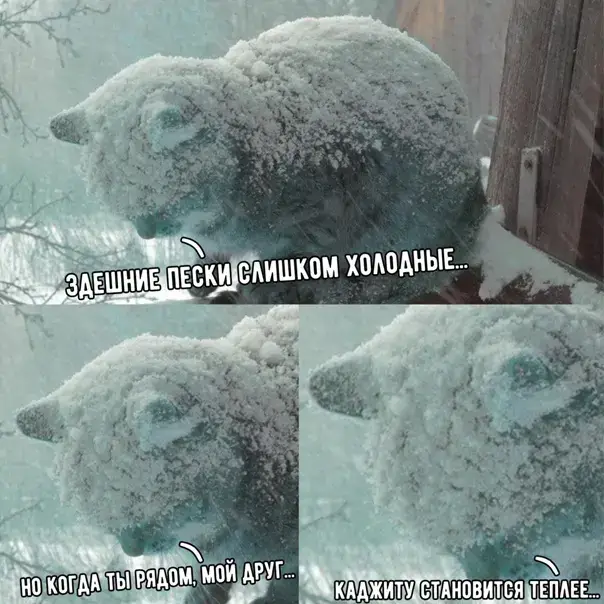 #WarmSandsOfElsweyr #mem #skyrim #скайрим #теплыепескиэльсвейра 