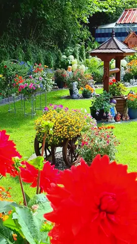 Германия.Сад  для  души#цветы #blumen #цветывсердце 