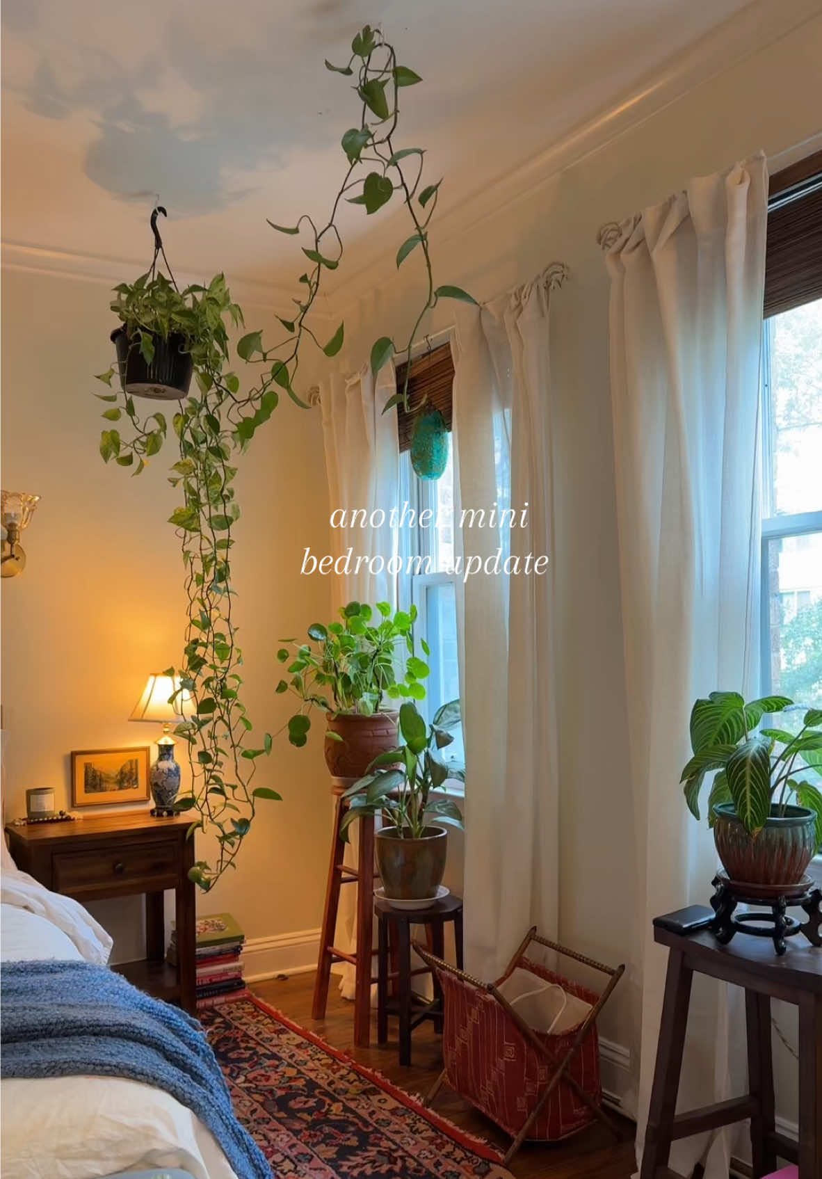 yes I watered the elephant ear right after this  #bedroomdesign #bedroomdecor #pinterestbedroom #plantsoftiktok #plantstuff 