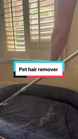 This simple rake beats the vacuum every time for efficiency and  it’s currently on sale for 40% off.  #pethair #pethairremoval #carpetcleaning  