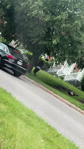 you had to be there to witness it 😂😂😂😂😂😂😂 #cleveland #fyp #viral #funny #jet2holidays #turkeys 