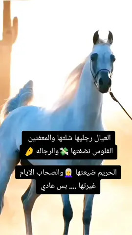#خيول_عربية_اصيلة❤️🐎 #خيل_وخياله🐎  #مجرد________ذووووووق🎶🎵💞  #اقتباسات_عبارات_خواطر🖤  #المصمم_بوهيبه🎬بوهيبه🎵 