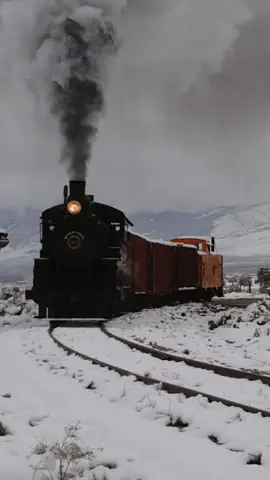 🚂✨ Meet the legendary Locomotive 40! Built in 1910, she carried passengers, mail, and freight across Nevada for decades. Now, we’re working hard to repair her so she can once again steam down the rails. 🏔️⚙️  🎥 Watch the full video on our YouTube channel #NevadaNorthernRailway #Locomotive40 #HistoricTrain #RailroadHistory #SteamLocomotive    