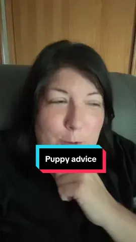 Puppy advice after teeth cleaning and extractions. #pups #pup #teeth 