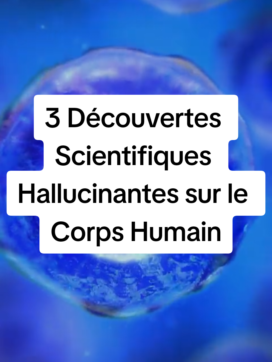 Plongez dans ces 3 découvertes scientifiques hallucinantes sur le corps humain qui remettent en question tout ce que vous croyez savoir ! 😱 Votre corps est fait de grilles d'énergie vibrante à 10-22 Hz, votre cerveau et conscience sont des champs d'énergie complexes comme l'univers, et si c'était la conscience qui créait l'apparence du cerveau ? Inspiré d'un fichier CIA déclassifié ! Préparez-vous à vibrer ! #ScienceHallucinante #CorpsHumain #Neuroscience #EnergieVibratoire #ConscienceUniverselle 