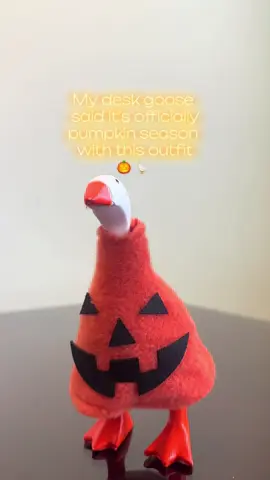 My desk goose got the cutest lil pumpkin outfit from TikTok shop. Bring on pumpkin season with this outfit of the day for your desk goose! #deskgoose #deskgooseoutfit #halloweendeskgooseoutfit #pumpkindeskgooseoutfit @MGunag 