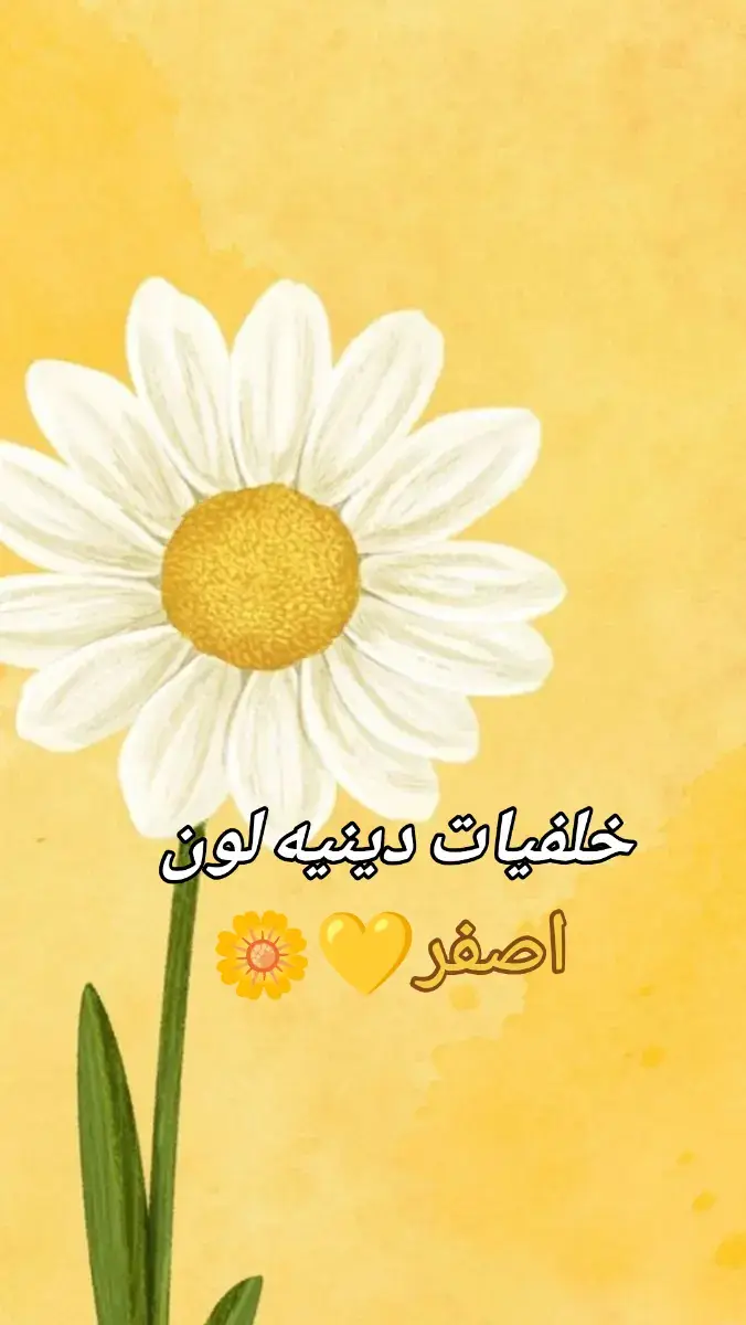 #الحمدالله_علی_کل_حال❤ #استغفرالله #اللهم_صلي_على_نبينا_محمد #الله_اكبر #لا_اله_الا_الله_محمد_رسول_الله 