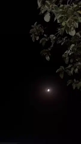 🤍🌚 . . . #fypシ #sertaçdılda #viral #🖤 #🪐