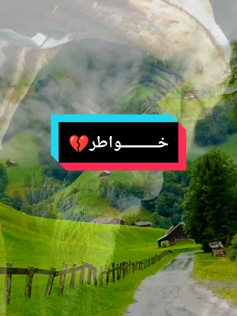 #خــــــــــواطر💔 #criadordeconteudo #