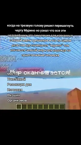 REAL SITUATION #мёртваязона  #мурино #хейтмурино #ленобласть #урбанистическийад #жмурино #майнкрафт #далёкиеземли #мем 