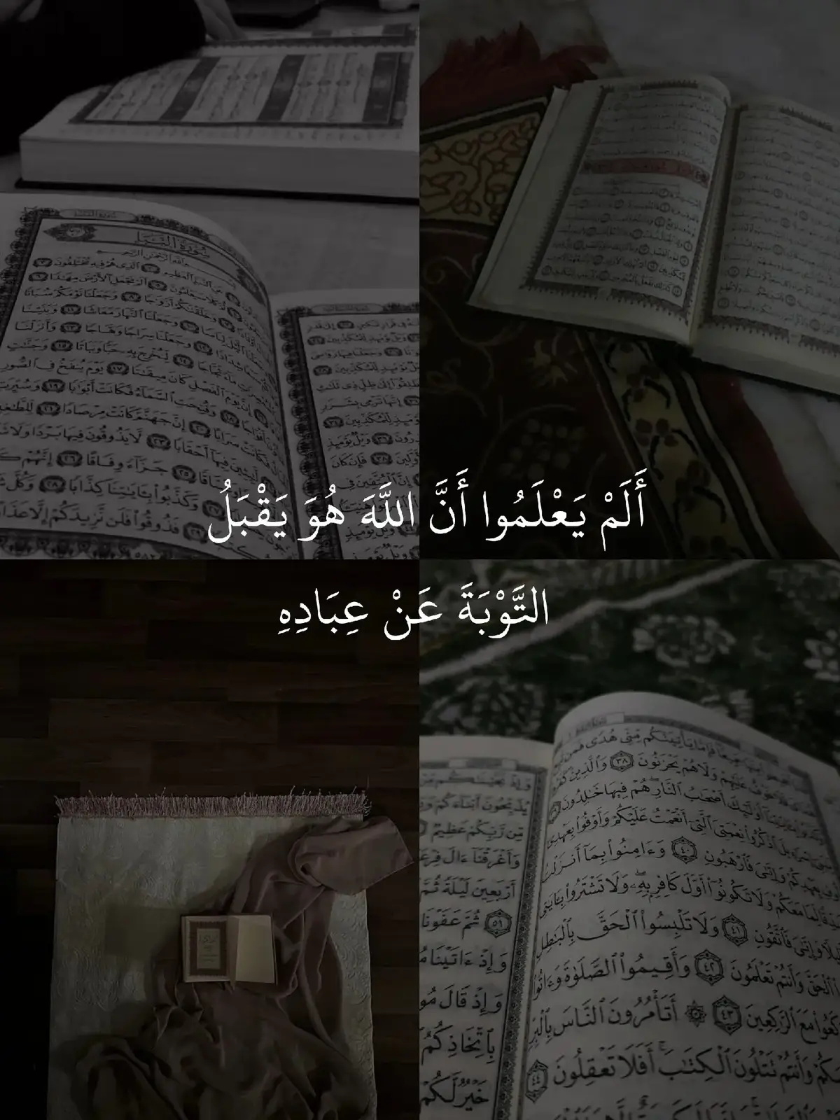 التوبة 🤍 #قرآن_كريم #اجر_لي_ولكم #ياسر_الدوسري 