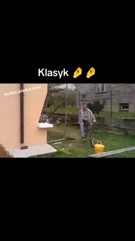#polska #śmieszne 