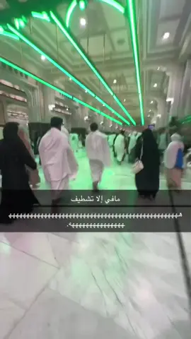 ينعل ام الفشله 😂 #بدون_هشتاق 