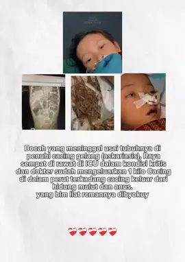 raya sukabumi #sukabumijawabarat #raya #cacing