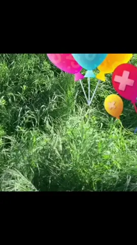 @cire 01🧚‍♀️🧚🏼🌷 #Virales #TikTok 