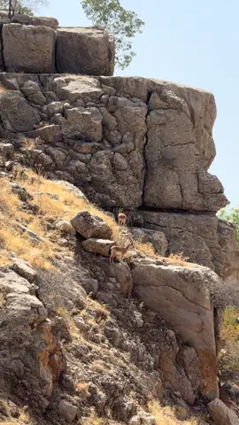 Kurdistan 📍❤️