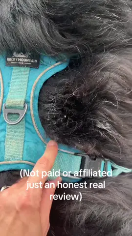 My favorite harnesses that have passed the test of time (over 2 years). Rocky Mountain Dog is the brand and they are the best ones I’ve found. @Rocky Mountain Dog  What’s your favorite harness?   #dogmom #dogwalker #doggear #dogharness #hikingwithdogs 