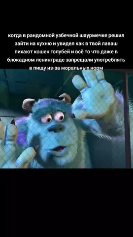 даже лаваш это просто использованный подгузник #пищабогов #жиза #корпорациямонстров #шаурма #шаверма #шаурмист #кухня 