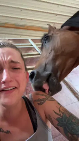 When the human salt lick tastes better than the salt block 🤣🤷🏼‍♀️ *THIS IS NOT ALLOWED TO BE SAVED AND POSTED ON OTHER PAGES OR SOCIALS *
