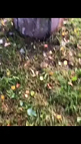 отказ не принимается 