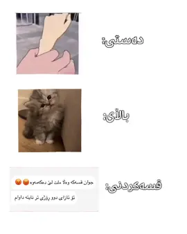#الشعب_الصيني_ماله_حل😂😂 #😂😂😂 #fyppppppppppppppppppppppp #rasty_lak #talx_maba 