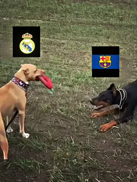 Real🤍#realmadrid #edits #ronaldofans #parati #videoviral 