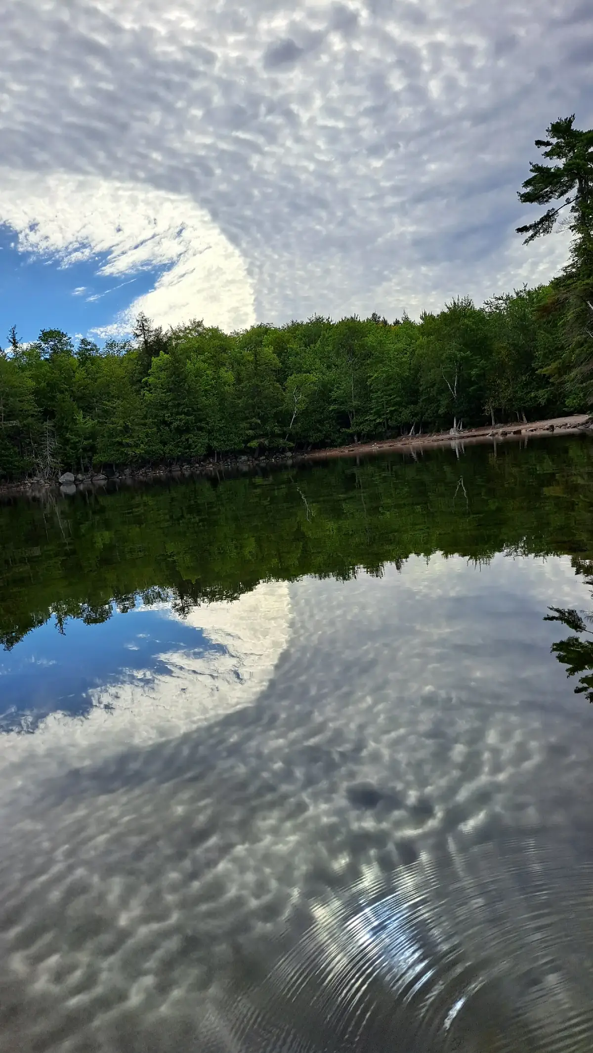 I have these white clouds, blue sky, and water reflection pictures I thought were pretty cool. Hope you like them too. Kayaking on Emden Pond in Emden, Maine. Bye for now our friends.  Love, hugs, & kisses from your Maine family.😁🤗🫶💛 ✍️Darcie Mae  👑🐶🐾Princess Foxy Lady of Peablyville, Maine  🐿🐿Annie and Natalie