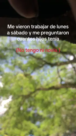 #tiktokviral 