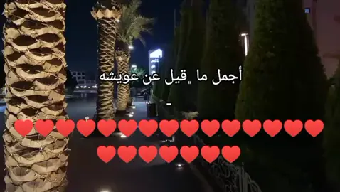 #درنه_طبرق_مصر_ليبيا_بنغازي_طرابلس_جزائر #درنه_بنغازي_البيضاء_طبرق_ليبيا #بيضاء_شحات_سوسه_درنه_راس_الهلال 