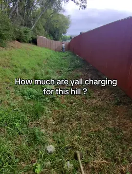 How much would you charge? #lawncaretipslawncarereels #bluecollar #businessowner #lawntok #fyp 