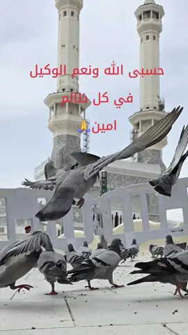 حسبى الله ونعم الوكيل فى كل ظالم🙏 امين #🙏 #يارب #اللهم #حسبى_ياالله_ونعم_الوكيل #الدعاء 